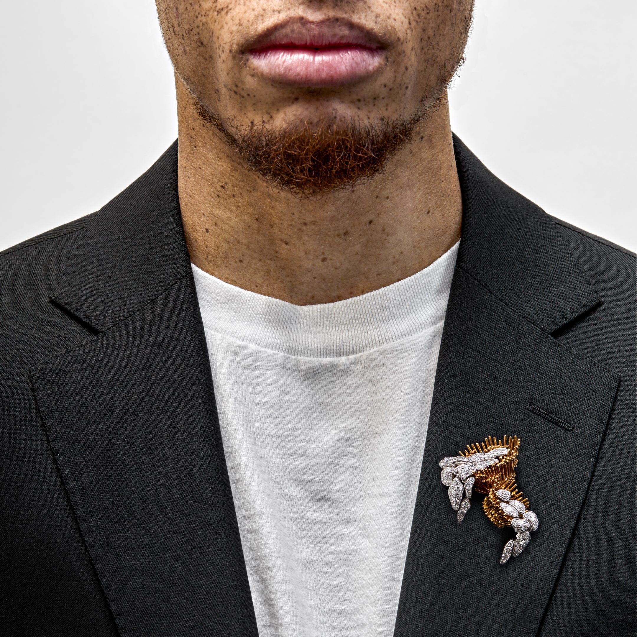 Antique Brooch Platinum, 18-Karat Gold, and Diamonds