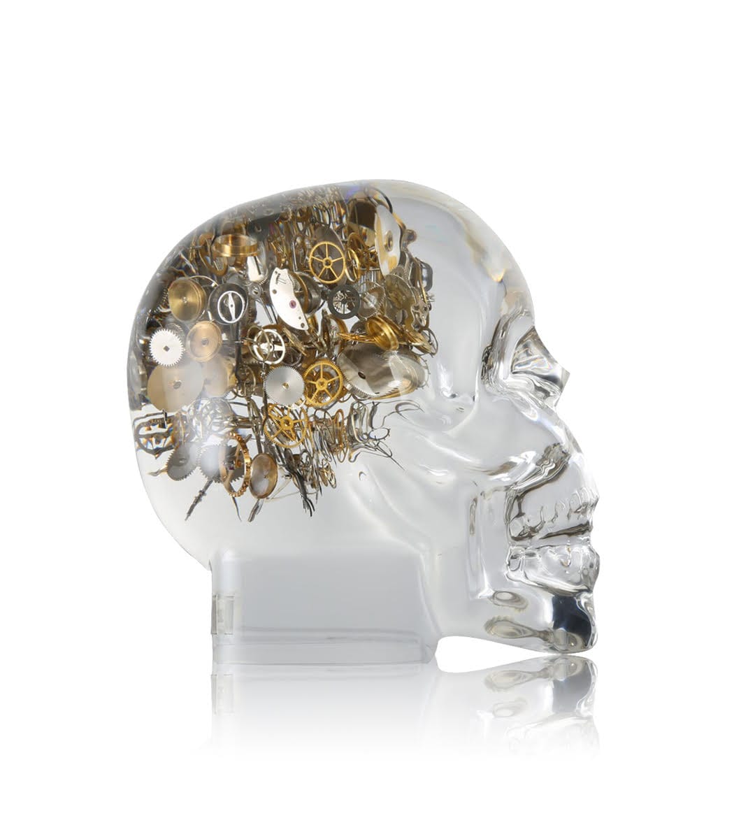 Berd Vaye Lost in Time (Small) Wrist Aficionado