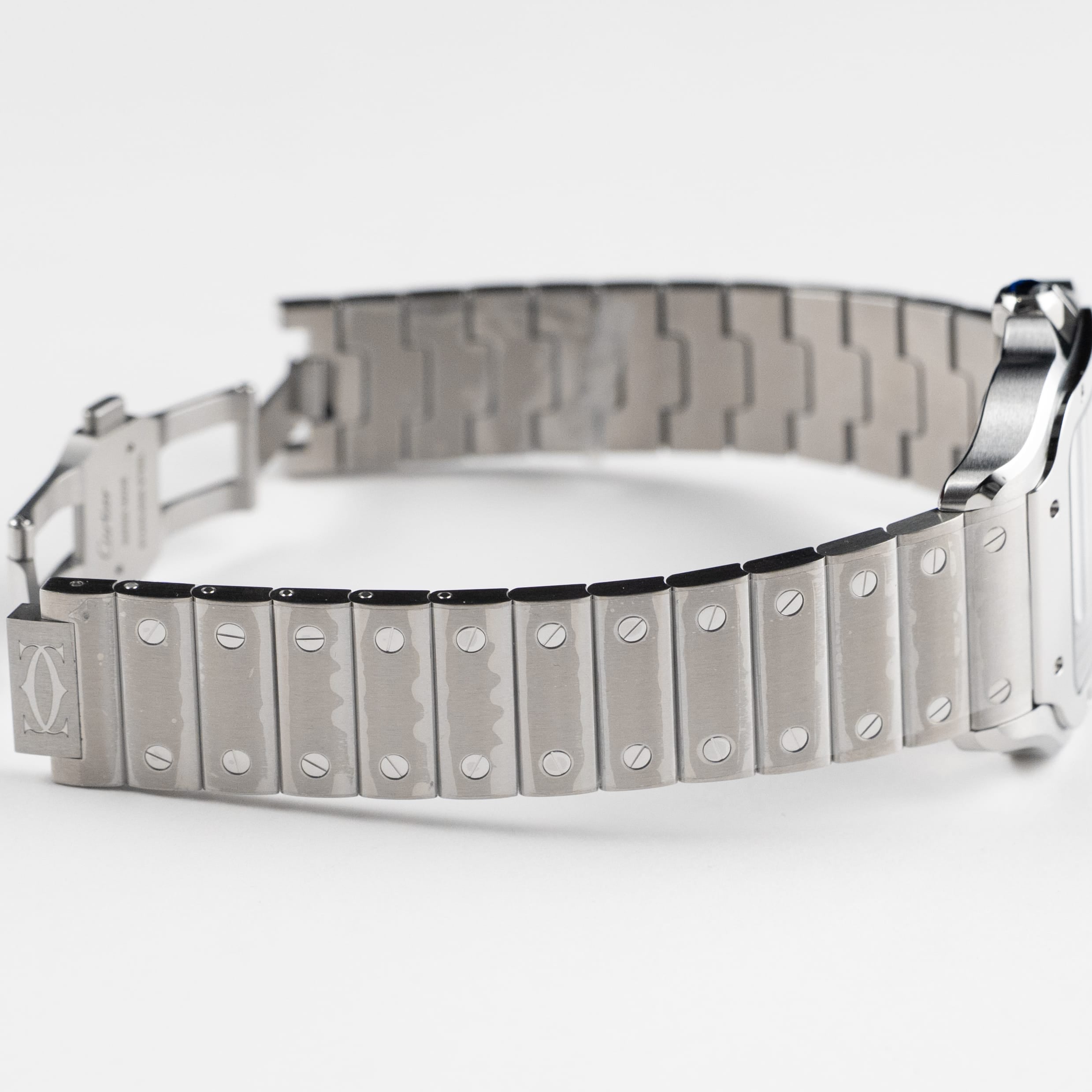 Cartier Santos Large WSSA0062 Stainless Steel Green Dial (2026)