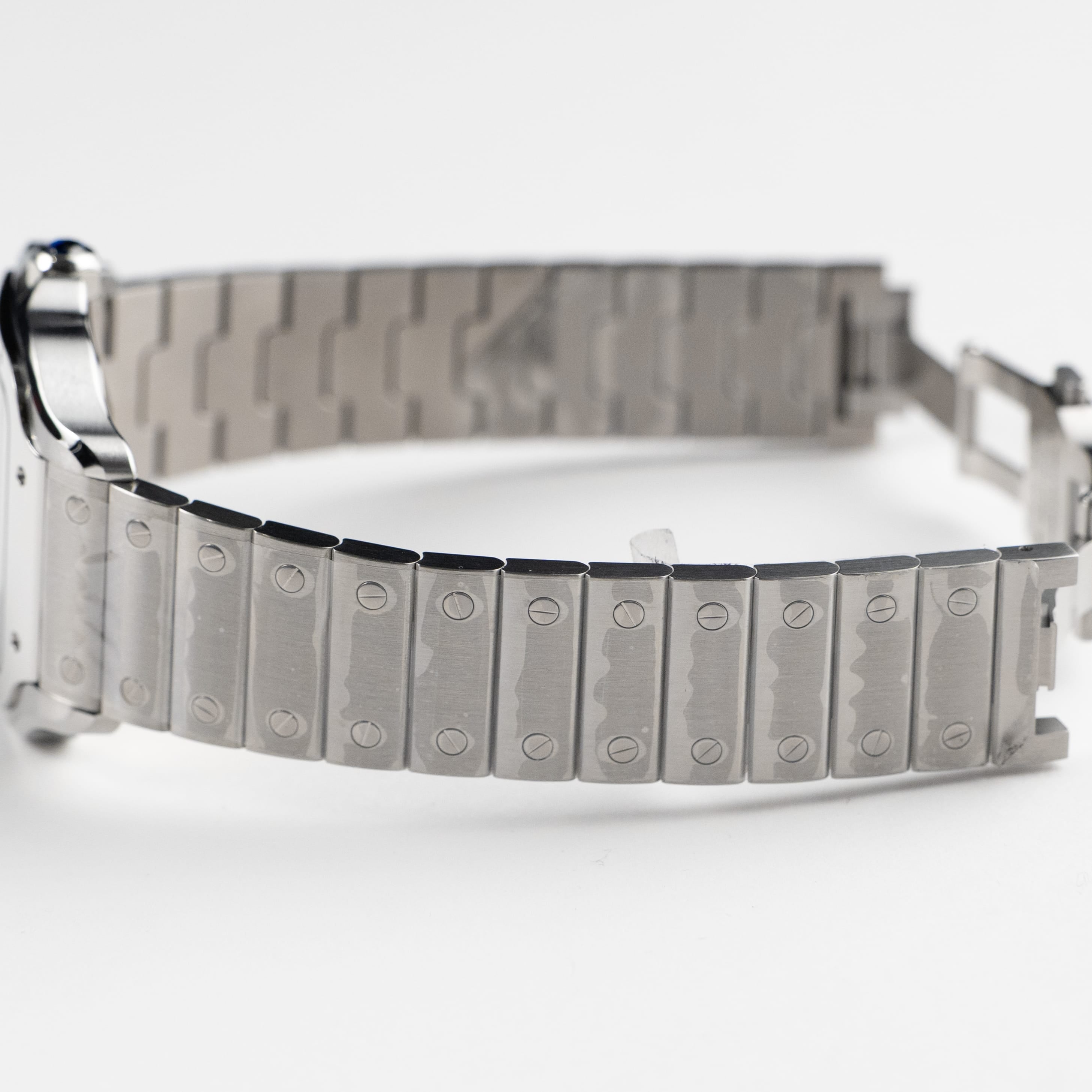 Cartier Santos Large WSSA0062 Stainless Steel Green Dial (2026)