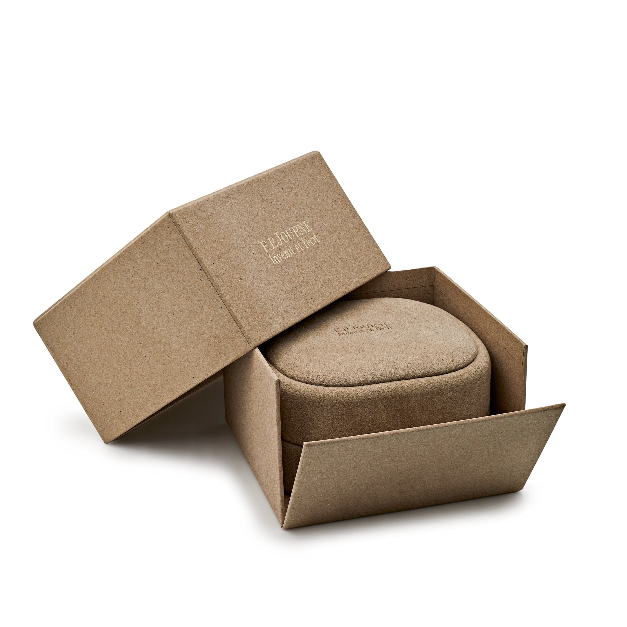 F.P.Journe Elegante 48mm Date Titanium Luminescent White Dial wrist aficionado