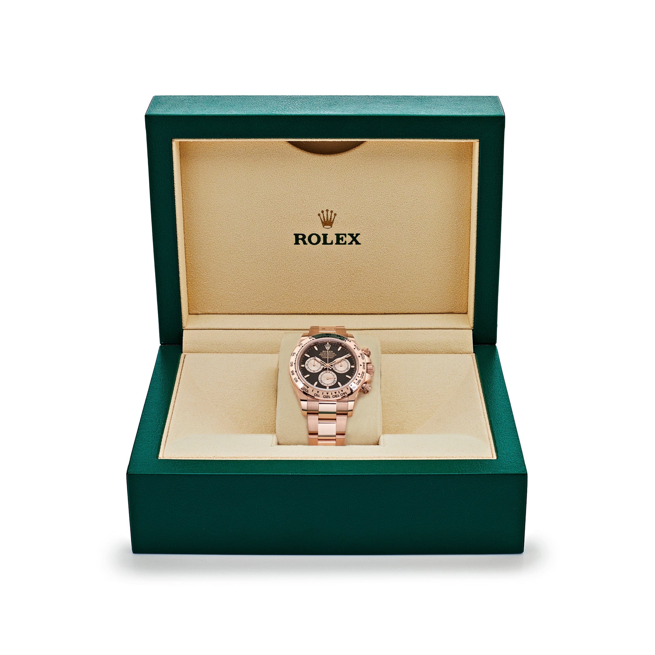 Rolex Daytona 126505 Rose Gold Bright Black Dial (2024)