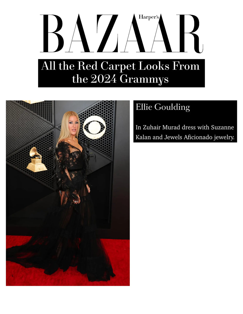 All the Red Carpet Looks From the 2024 Grammys