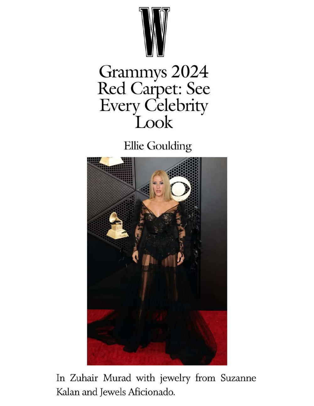 Grammys 2024 Red Carpet: See Every Celebrity Look