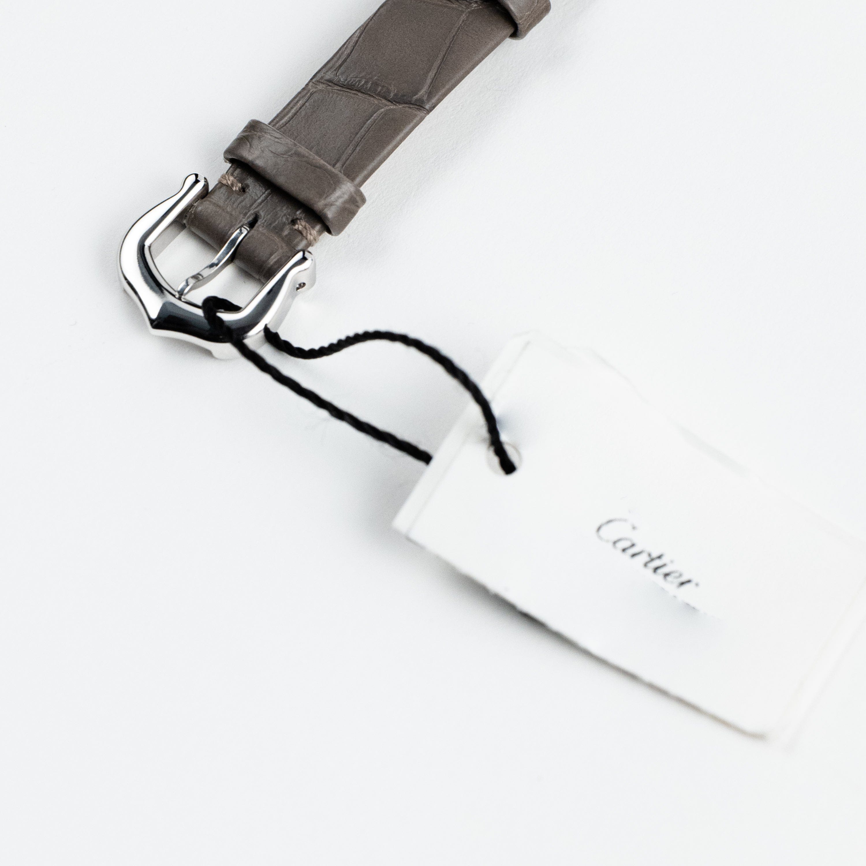 Cartier Baignoire Allongée WJBA0007 White Gold Silver Dial Diamond Bezel (2026)