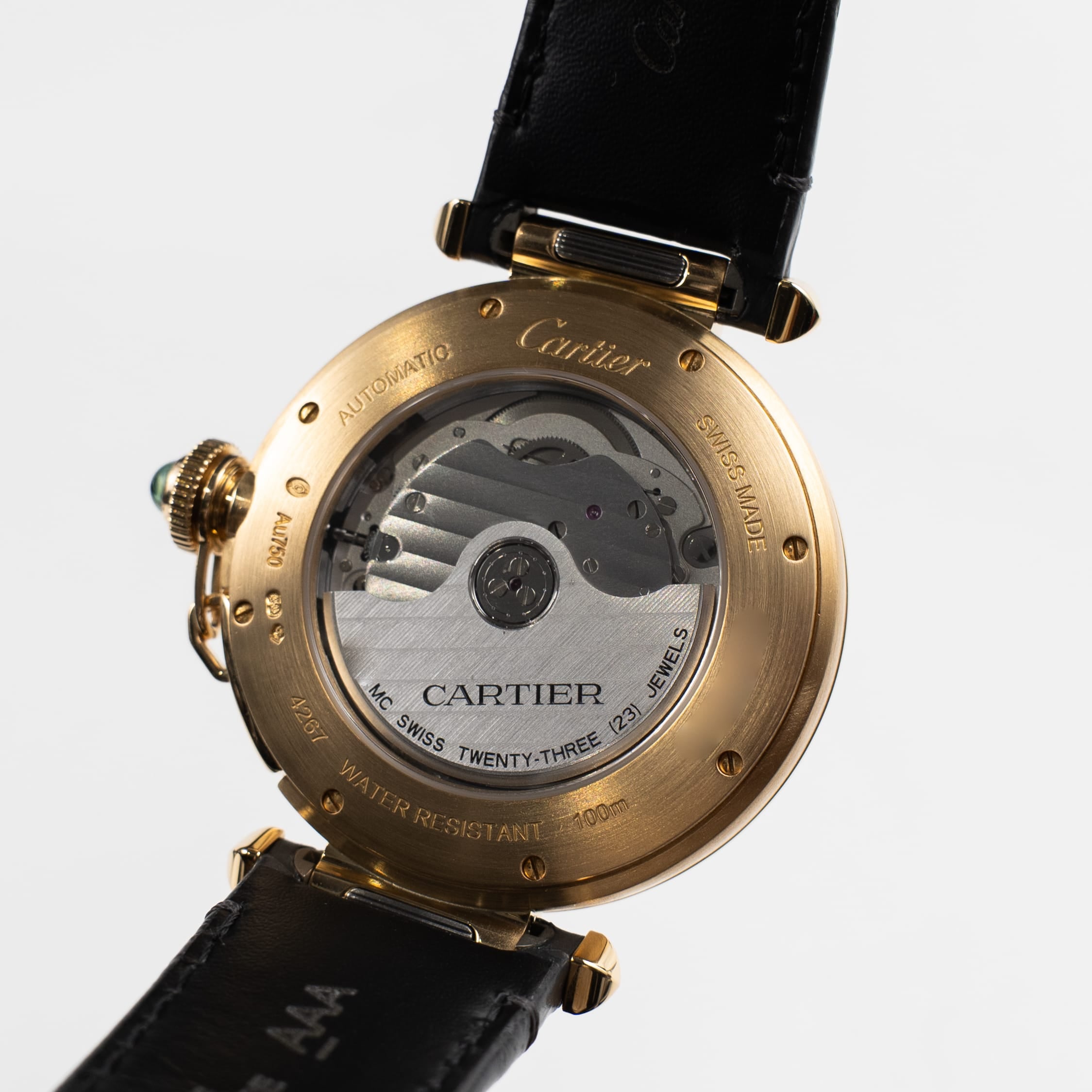 Cartier Pasha WGPA0007 Yellow Gold Silver-White Dial (2020)