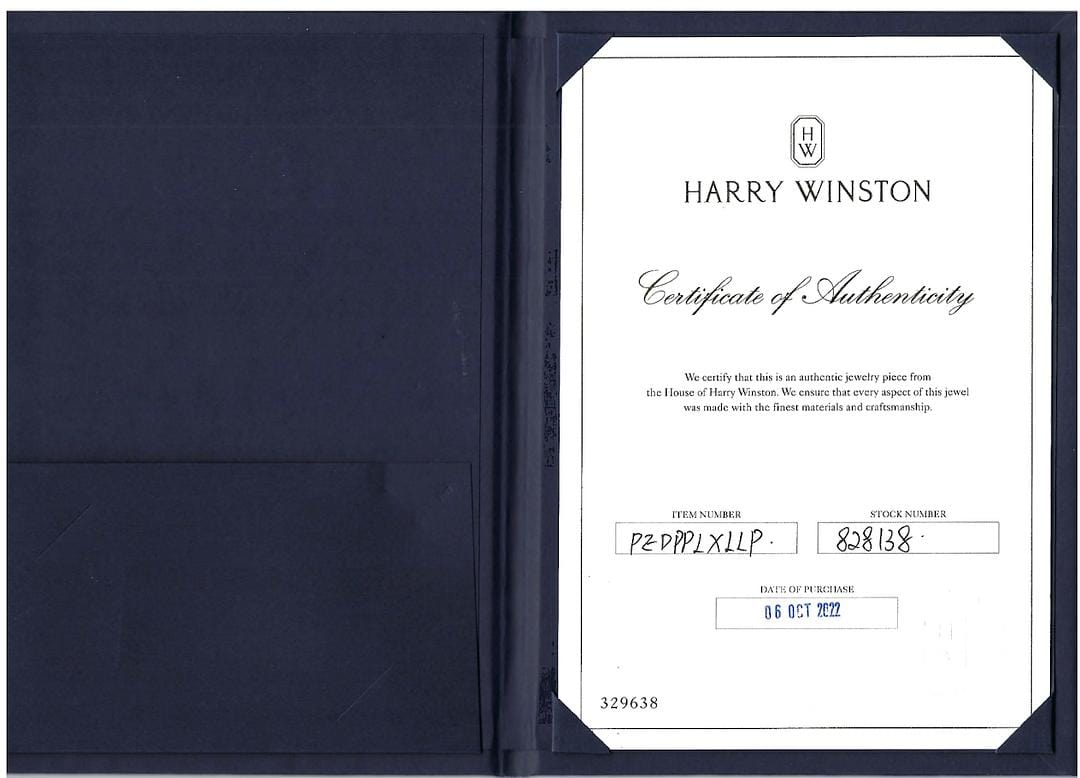 Harry Winston Platinum Estate Diamond Double Loop Earrings – Long's Jewelers