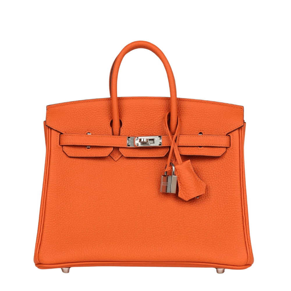 Hermes Pre owned Birkin 25 Handbag Orange