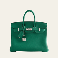 Thumbnail for Hermès Birkin 25 Togo Vert Vertigo Palladium Hardware