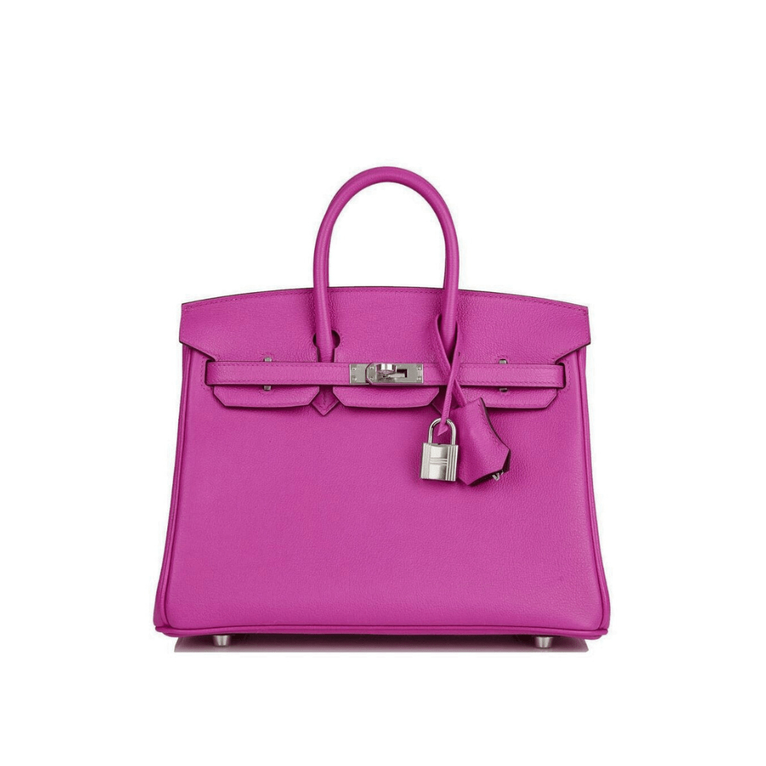 Bags & Accessories Hermes Birkin 25 Verso Magnolia / Capucine Novillo Leather Wrist Aficionado