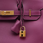 Hermes Birkin 30 Epsom Calfskin P9 Anemone Gold Hardware