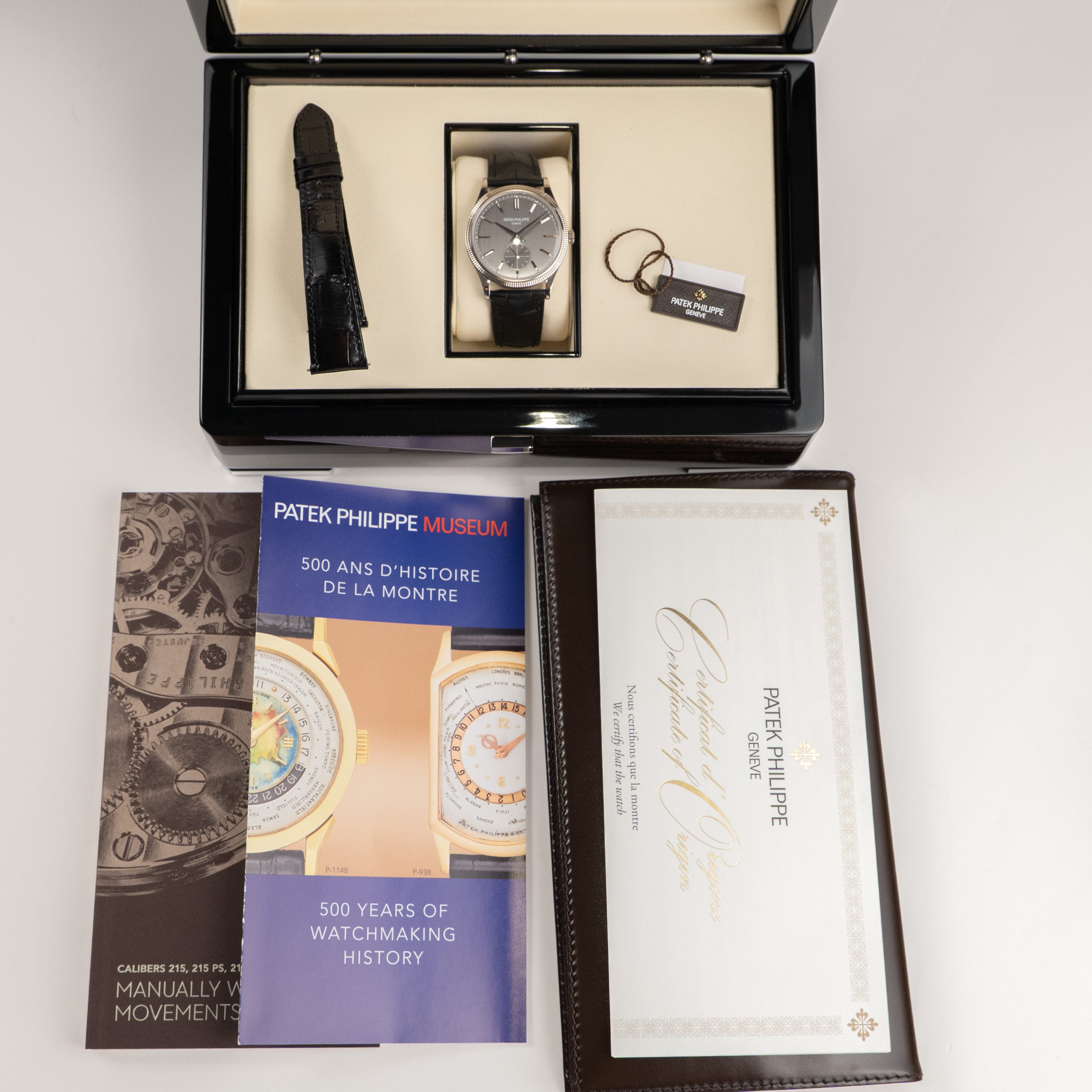 Patek Philippe Calatrava 6119G-001 White Gold Grey Dial (2026)