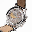 Patek Philippe Celestial Grand Complications 5102G-001 White Gold (2005)