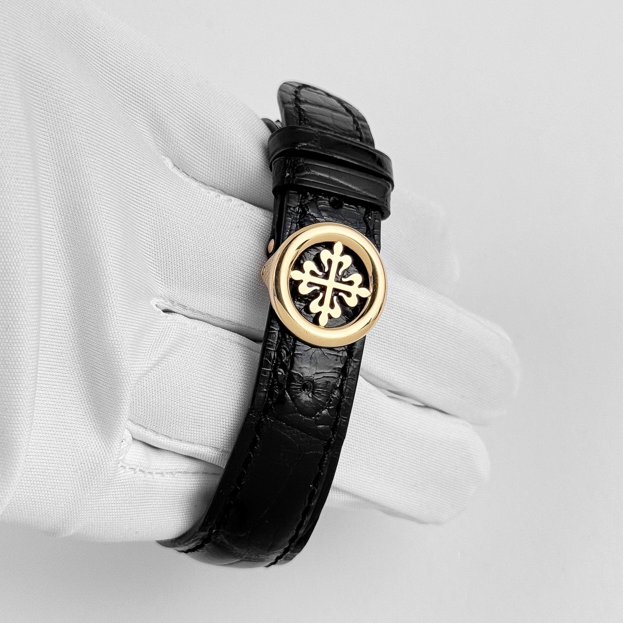 Patek Philippe Complications 5131J-001 World Time Yellow Gold (2010)