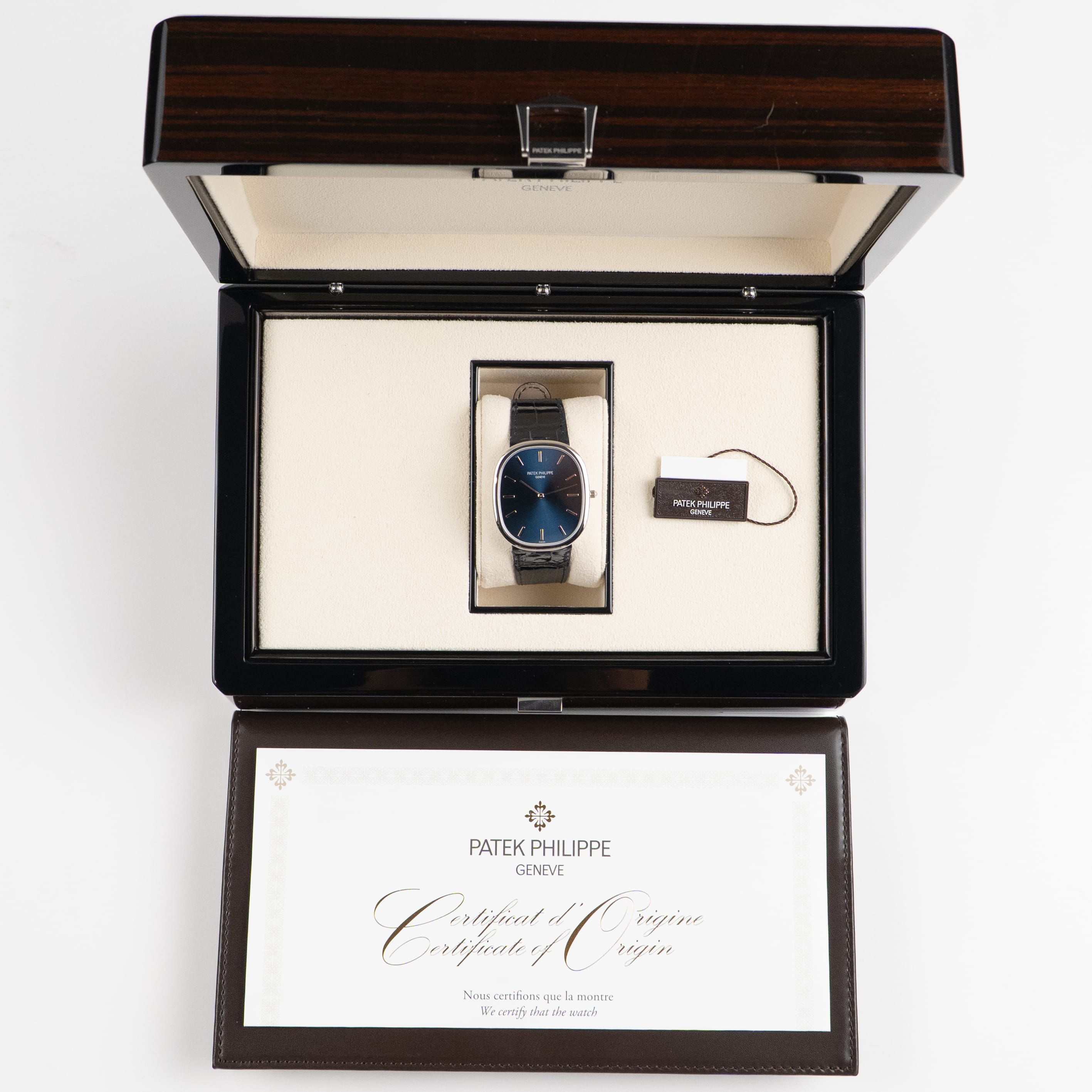 Patek Philippe Golden Ellipse 5738P-001 Platinum Blue Dial (2022)