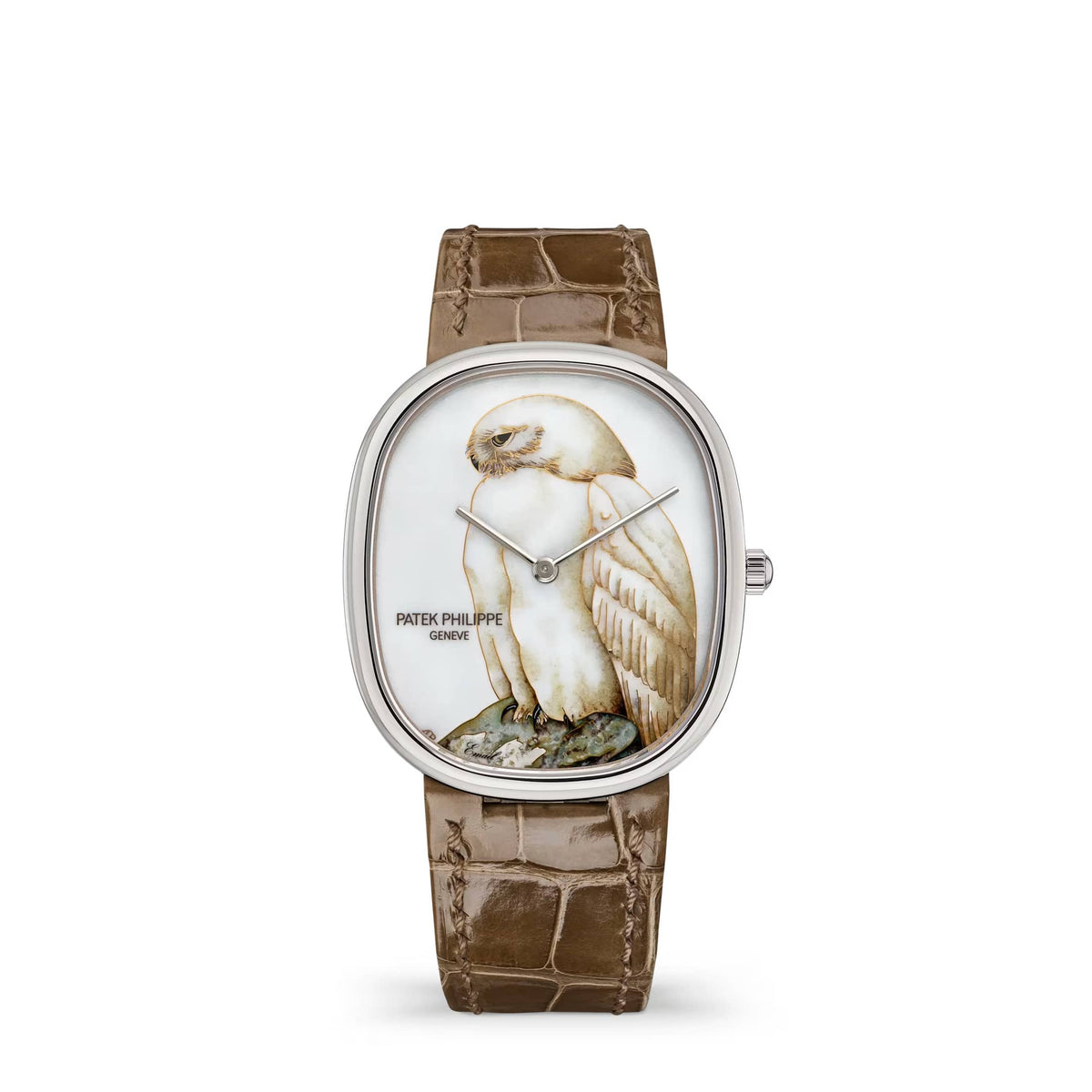 Patek Philippe Golden Ellipse Rare Handcrafts 5738/50G-048 'White Owl' White Gold Cloisonne Enamel Dial Limited Edition of 10 (2026)