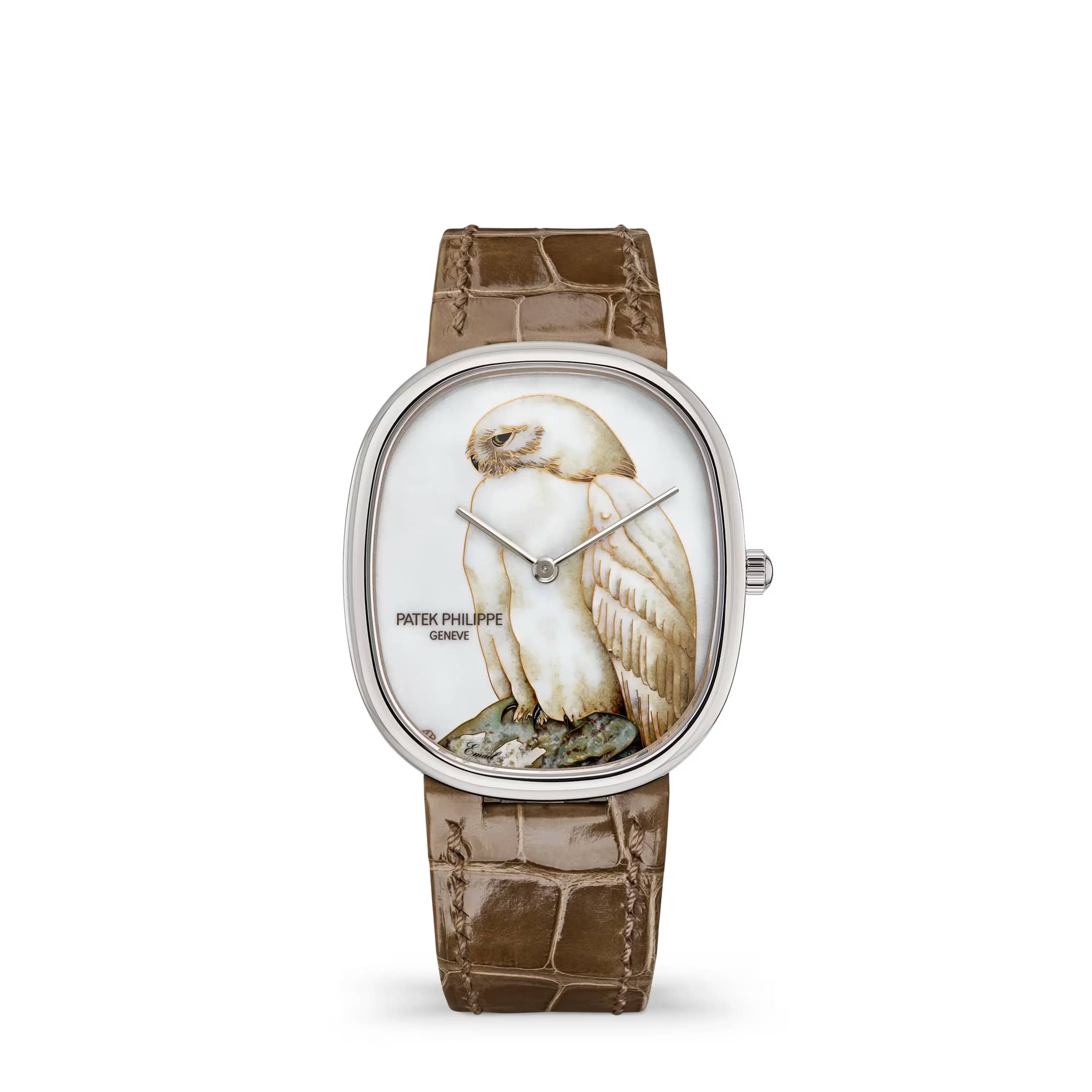 Patek Philippe Golden Ellipse Rare Handcrafts 5738/50G-048 'White Owl' White Gold Cloisonne Enamel Dial Limited Edition of 10 (2026)