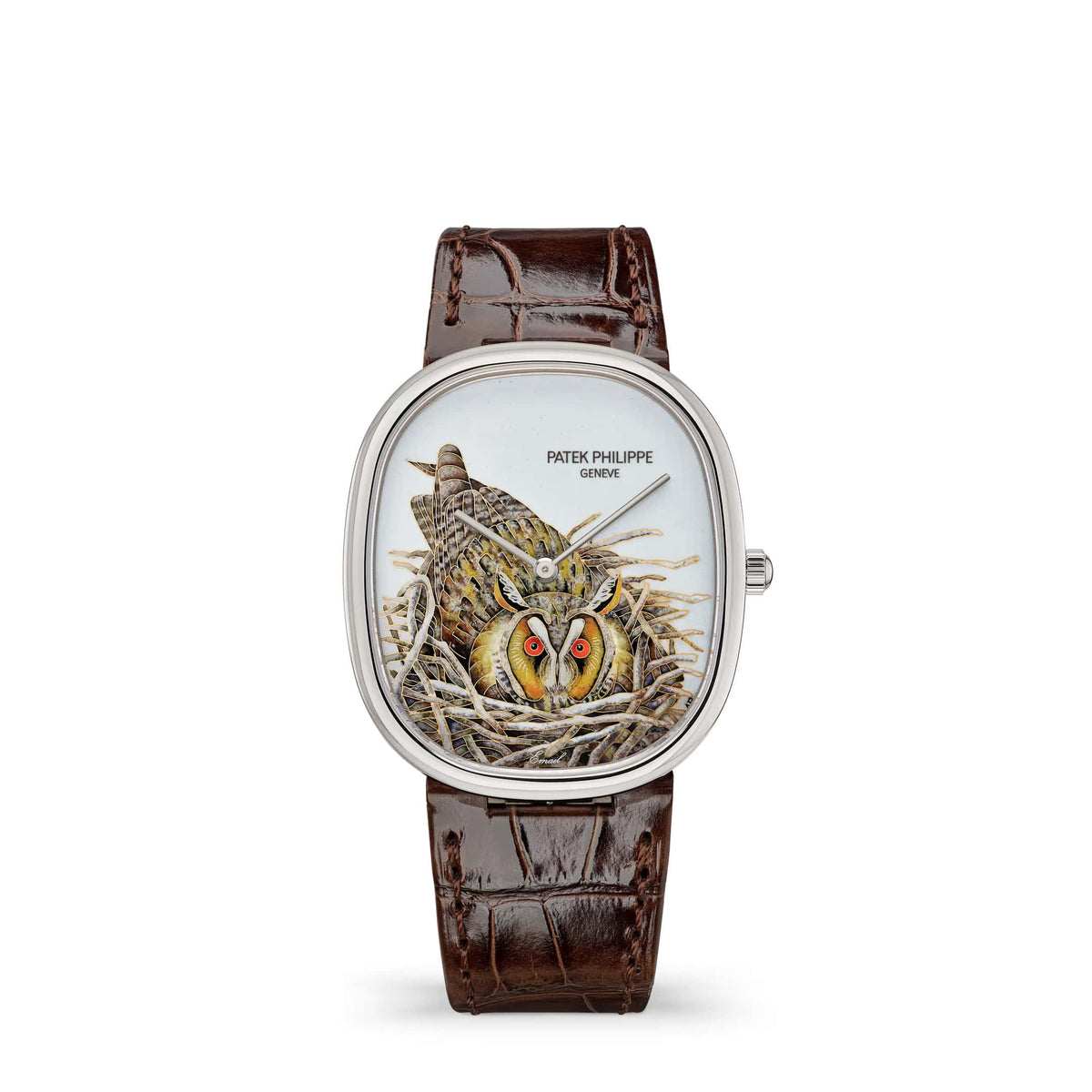 Patek Philippe Golden Ellipse Rare Handcrafts 5738/50G-049 'Brown Owl' White Gold Cloisonne Enamel Dial Limited Edition of 10 (2026)