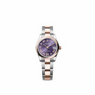 Rolex Datejust 31 278241 Rose Gold Stainless Steel Aubergine Diamond Roman Dial Oyster (2026)