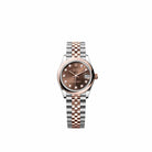 Rolex Datejust 31 278241 Rose Gold Stainless Steel Chocolate Diamond Dial Jubilee (2026)