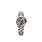 Rolex Datejust 31 278241 Rose Gold Stainless Steel Slate Dial Jubilee (2026)
