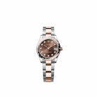Rolex Datejust 31 278341RBR Rose Gold Stainless Steel Chocolate Diamond Dial Oyster Diamond Bezel (2026)