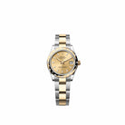 Rolex Datejust 31 278343RBR Yellow Gold Stainless Steel Champagne Dial Oyster Diamond Bezel (2026)