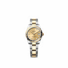 Rolex Datejust 31 278343RBR Yellow Gold Stainless Steel Champagne Diamond Dial Oyster Diamond Bezel (2026)