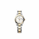 Rolex Datejust 31 278343RBR Yellow Gold Stainless Steel White Roman Dial Oyster Diamond Bezel (2026)