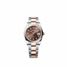 Rolex Datejust 36 126201 Rose Gold Stainless Steel Chocolate Dial Oyster (2026)