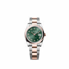 Rolex Datejust 36 126201 Rose Gold Stainless Steel Mint Green Roman Dial Oyster (2026)