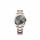 Rolex Datejust 36 126201 Rose Gold Stainless Steel Slate Dial Oyster (2026)