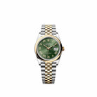Rolex Datejust 36 126203 Yellow Gold Stainless Steel Olive Green Roman Dial Jubilee (2026)