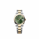 Rolex Datejust 36 126203 Yellow Gold Stainless Steel Olive Green Roman Dial Oyster (2026)