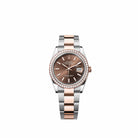 Rolex Datejust 36 126281RBR Rose Gold Stainless Steel Chocolate Dial Oyster Diamond Bezel (2026)