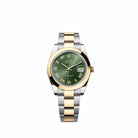 Rolex Datejust 41 126303 Yellow Gold Stainless Steel Olive Green Roman Dial Oyster (2026)