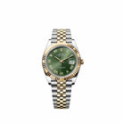 Rolex Datejust 41 126333 Yellow Gold Stainless Steel Olive Green Roman Dial Jubilee (2026)
