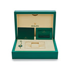 Rolex Day-Date 228236 Platinum Pavé Diamond Dial (2023)