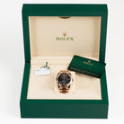 Rolex Day-Date 40 228235 Rose Gold Slate Ombre Dial (2024)