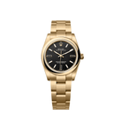 Rolex Oyster Perpetual 34 124208 Yellow Gold Black Dial (2026)