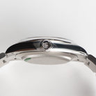 Rolex Oyster Perpetual 41 134300 Stainless Steel Dial Blue Dial (2025)