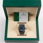 Rolex Sky-Dweller 326934 Stainless Steel Blue Dial Oyster (2020)