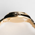 Rolex Sky-Dweller 326938 Yellow Gold White Dial (2022)