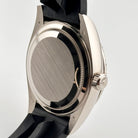 Rolex Sky-Dweller 336239 White Gold Black Dial (2025)