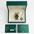 Rolex Sky-Dweller 336933 Stainless Steel Yellow Gold Black Dial Oyster (2026)