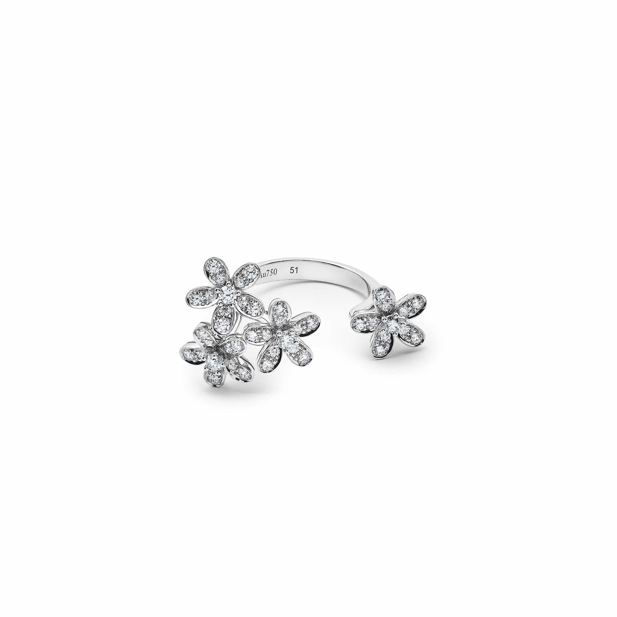 Van Cleef & Arpels Socrate Between the Finger Ring